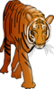Prowling Tiger Clip Art